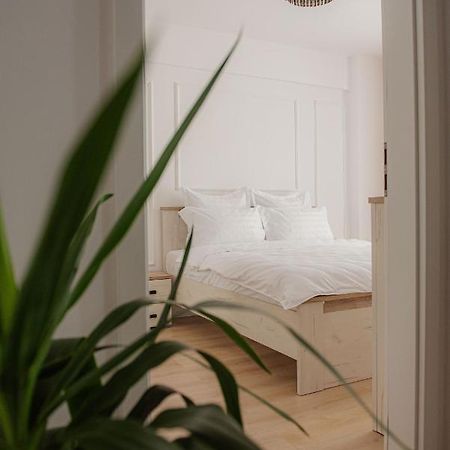 Modern Apartment In Τιμισοάρα Εξωτερικό φωτογραφία