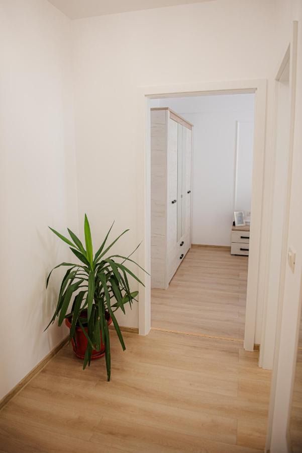 Modern Apartment In Τιμισοάρα Εξωτερικό φωτογραφία